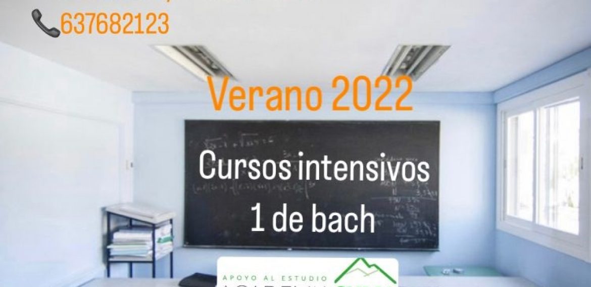 NUESTROS CURSOS VERANO 2022